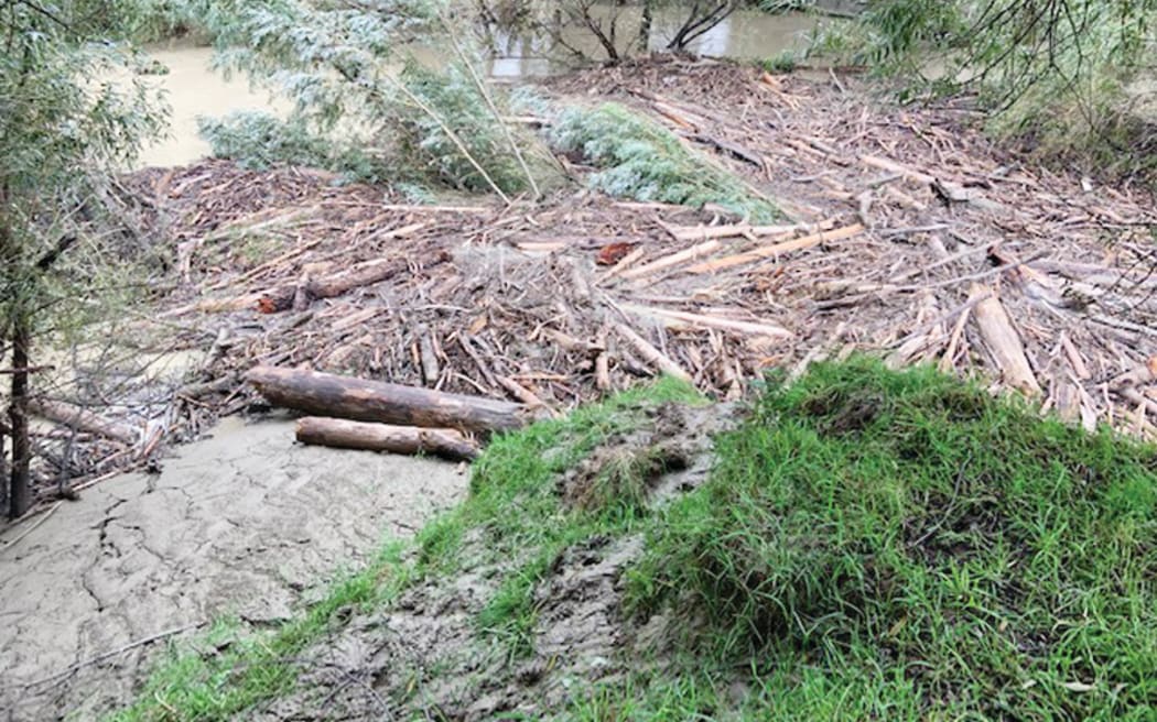 Trees clogging Te Arai river following heavy rains earlier this year. Gisborne District Council has admitted more work needs to be done.