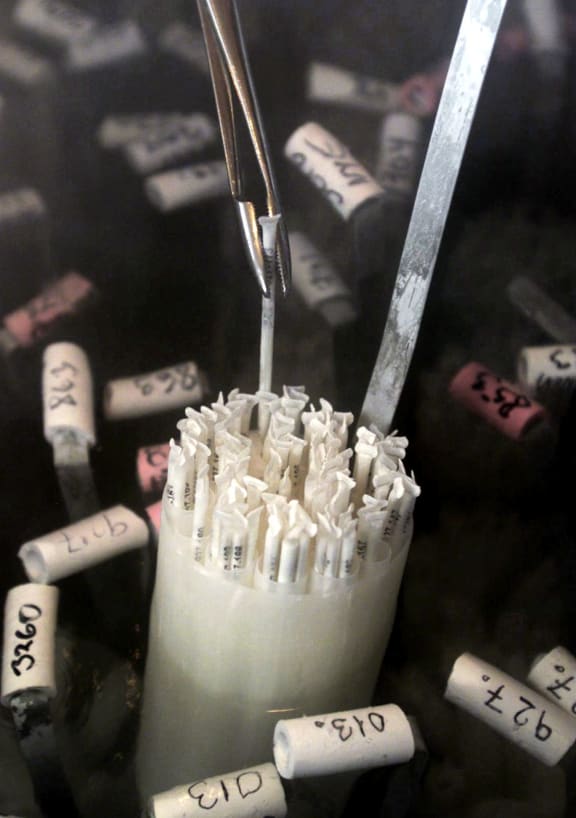 Frozen assets - time's up for some stored sperm and embryos.