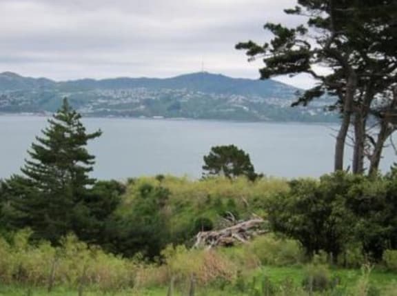 The view of Wellington Harbour from Watts Peninsula.