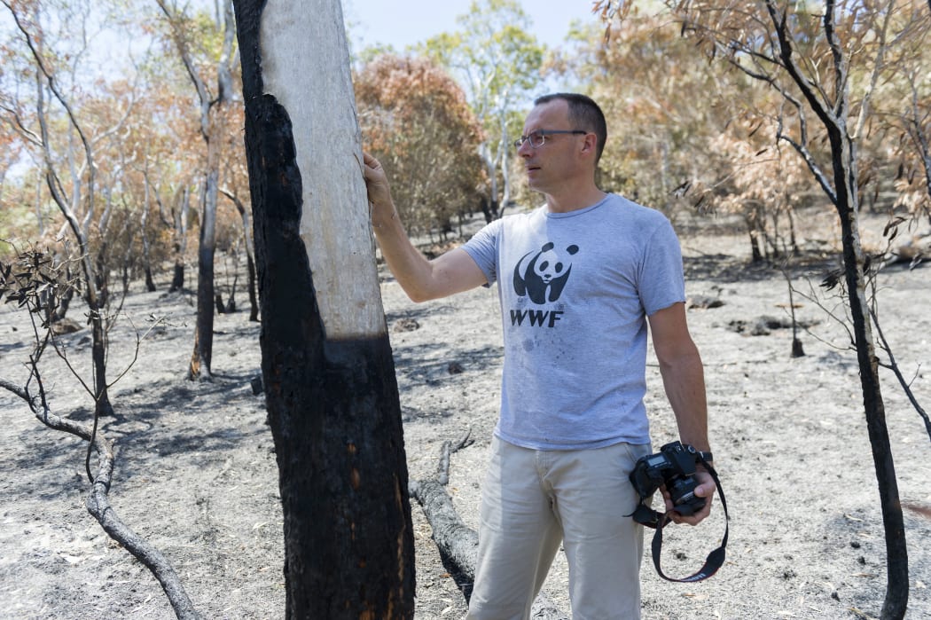 The WWF's Hubert Geraux surveys fire damage in 2015. Over 100 square kilometres have now been ravaged by fire in the past two months
