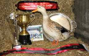 The National Poultry and Pigeon Show