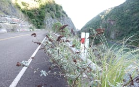 The road closed in April 2017, when slips fell.