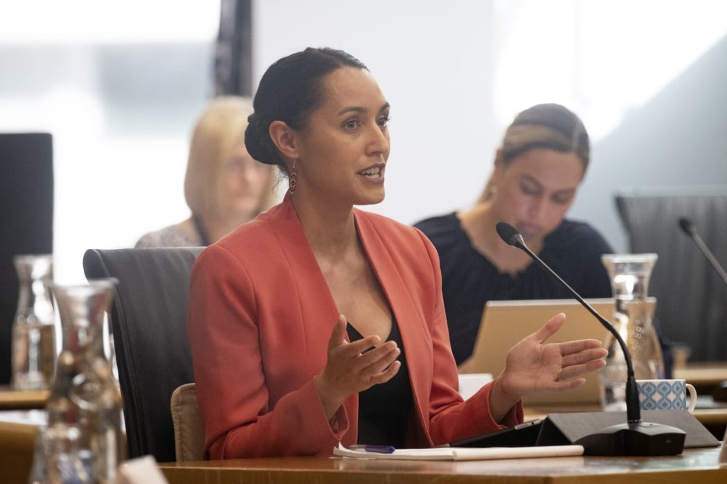 Tapsell in a council committee meeting in 2021.