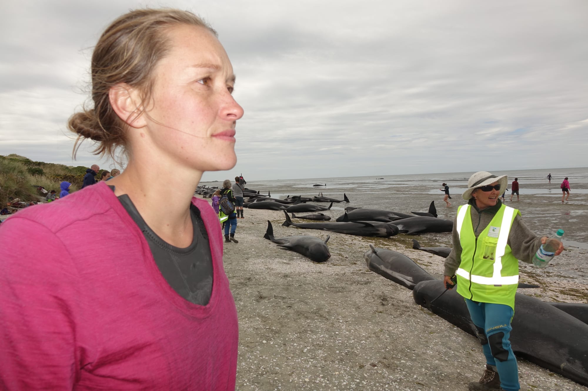 "I don't recall ever being at a stranding of this magnitude," said Bridie Griffiths after hundreds of whales were stranded near Farewell Spit in February.