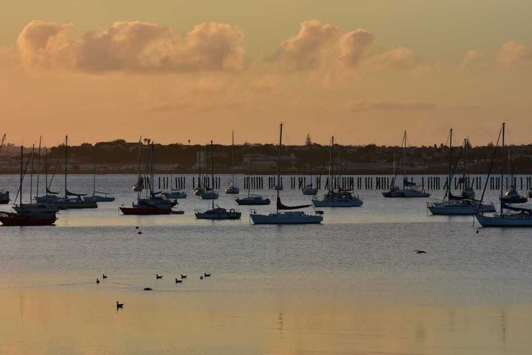 Sailboats on moorings in Okahu Bay in Auckland during sunset on calm day.