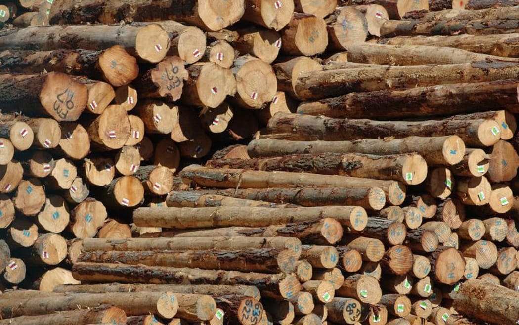 A pile of Pinus radiata logs waits for export at the port in Lyttelton.