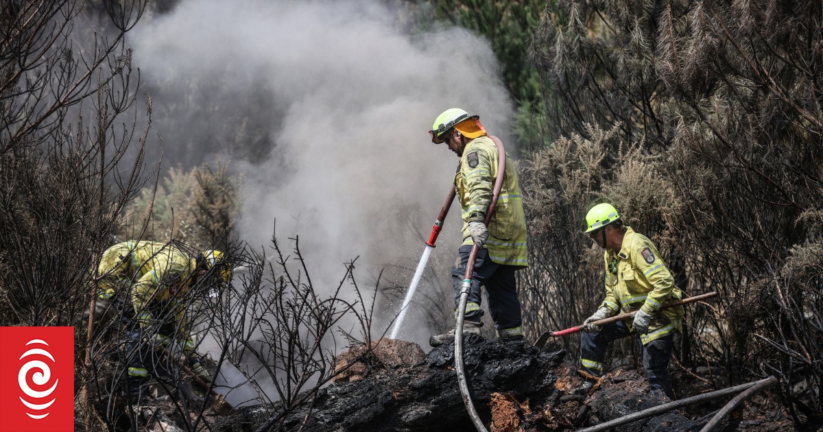 Port Hills fire: Dampening 30 identified hotspots the priority - FENZ - Vimarsana News