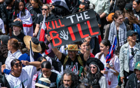 Scenes from the 2024 Hikoi to Parliament in protest against the treaty principles bill.