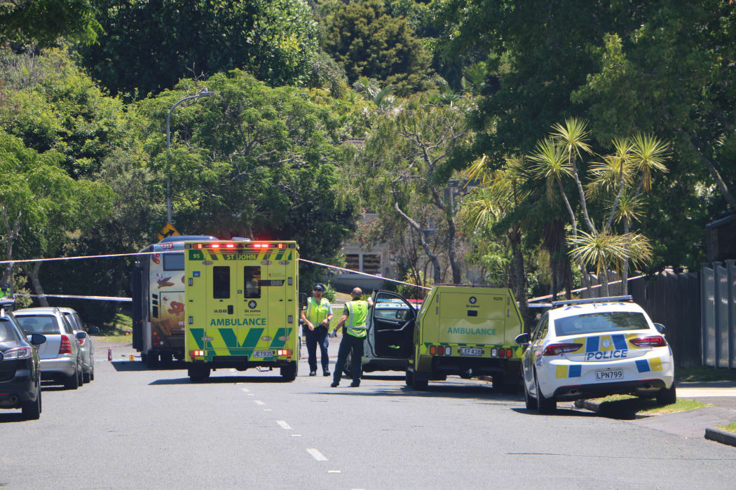Emergency services at the scene of the crash on Gowing Drive in Auckland on 12 January 2019.