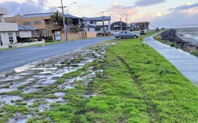 Tyre marks on roadside verge alongside waterfront