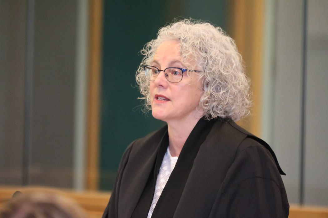 Crown lawyer Victoria Casey at Winston Peters' privacy case at the High Court in Auckland.