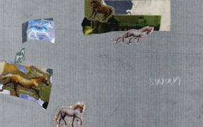 'swan', the second LP by Fazed on a Pony is out now.
