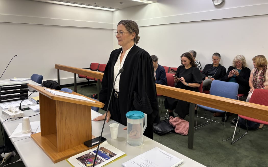 Lawyer for the Wellington City Council Bridie McKinnon.