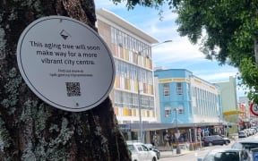 Signs have begun appearing on alder trees in the New Plymouth CBD marking them for the chop. The council is removing about a third of 60 alder trees in the first phase of a $10.3 million inner city makeover. The trees have been blamed for creating a slip hazard and damaging infrastructure.