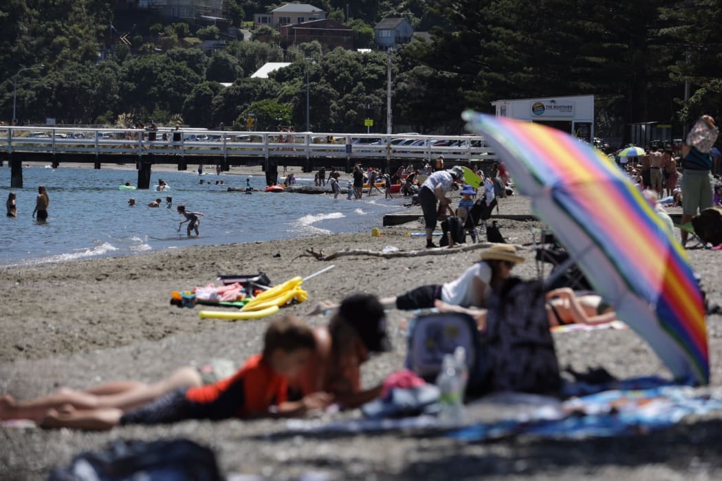 Beach goers in Wellington taking advantage of the hot weather.