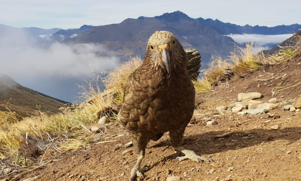 Generic stills of Queenstown and surrounding area