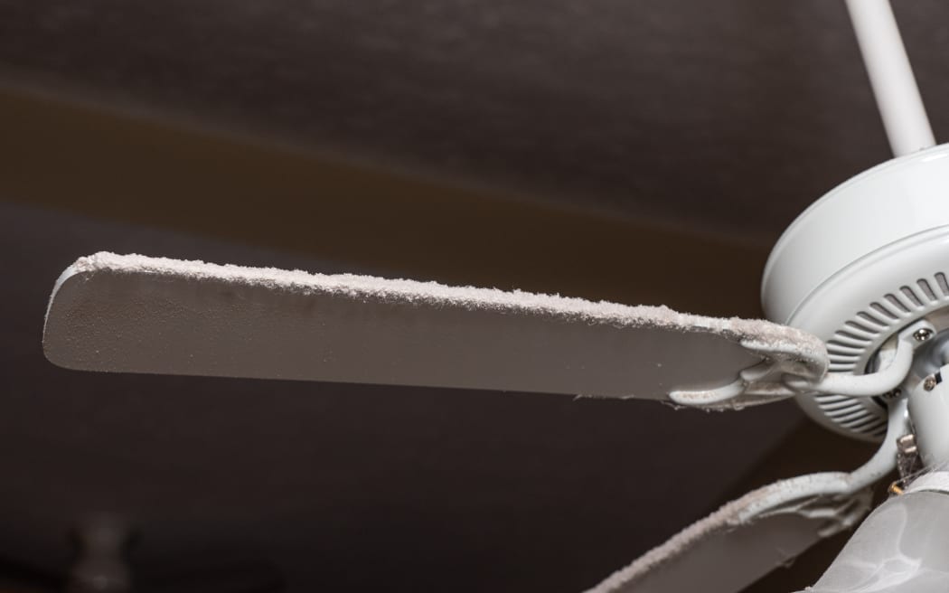 Fan blade on ceiling fan and light fixture in need of cleaning to remove dust and fluff along the edge.