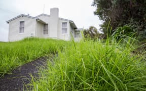 An empty state house with over grown lawns in Glen Innes that has been empty for 3 months
