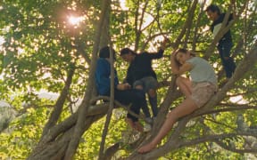 Children sitting in a tree, still from short-film Hawaiki directed by Nova Paul
