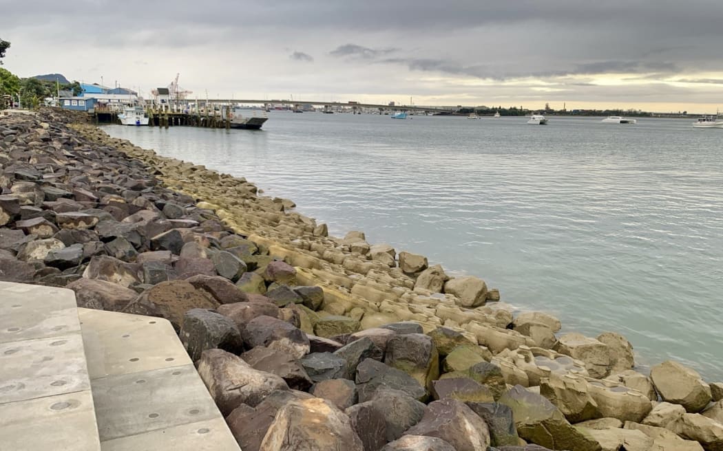 A coastal seawall lined with large dark rocks and tiered concrete structures designed to support marine life. The sky is overcast, and boats are moored in the harbor near a pier and industrial buildings in the distance.