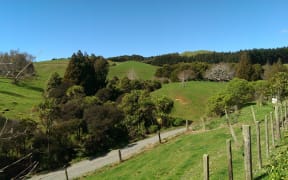 Fencing at the Moss's farm in Raglan.