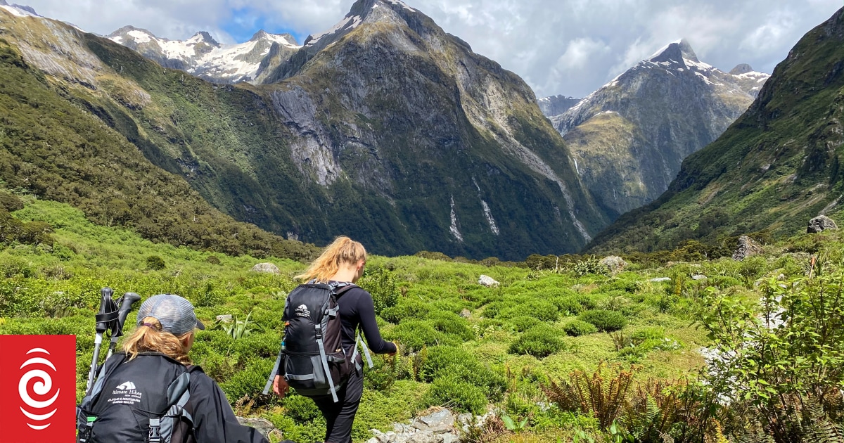 Milford sound tramping sale