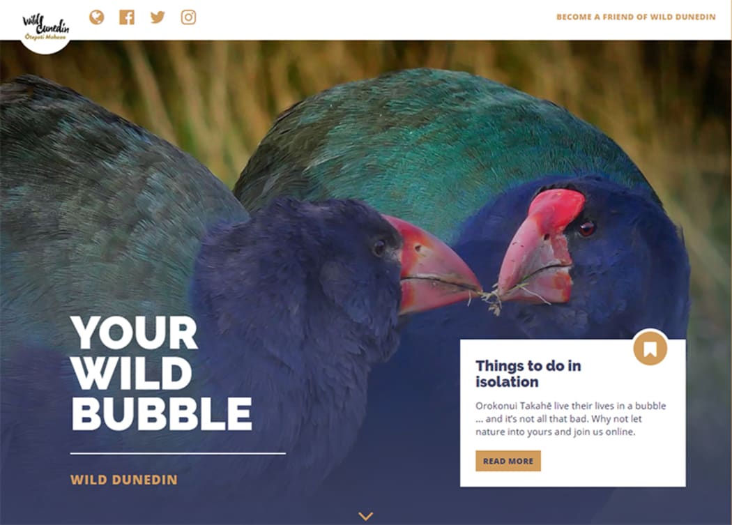 Your wild bubble