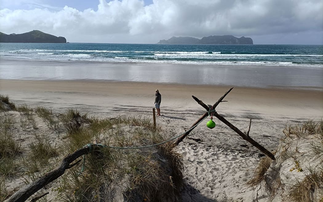 Whangapoua Beach