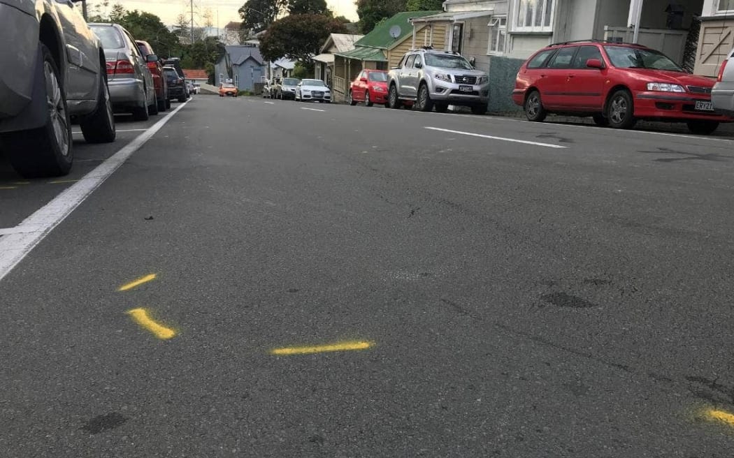Fatal crash of car with nine people in it in Napier