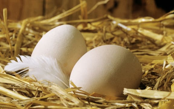 Two eggs on straw. (Photo by Jacques Loic / Photononstop / Photononstop via AFP)