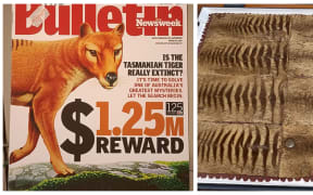 Tasmanian Tiger