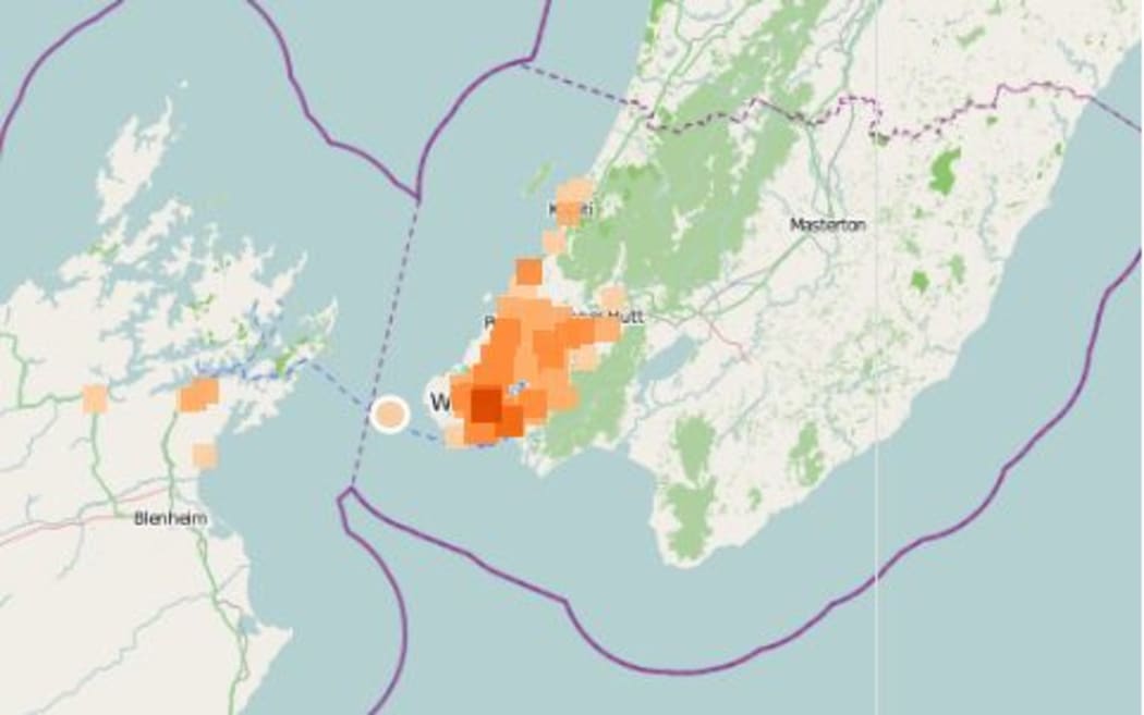 Light quake in Wellington region
