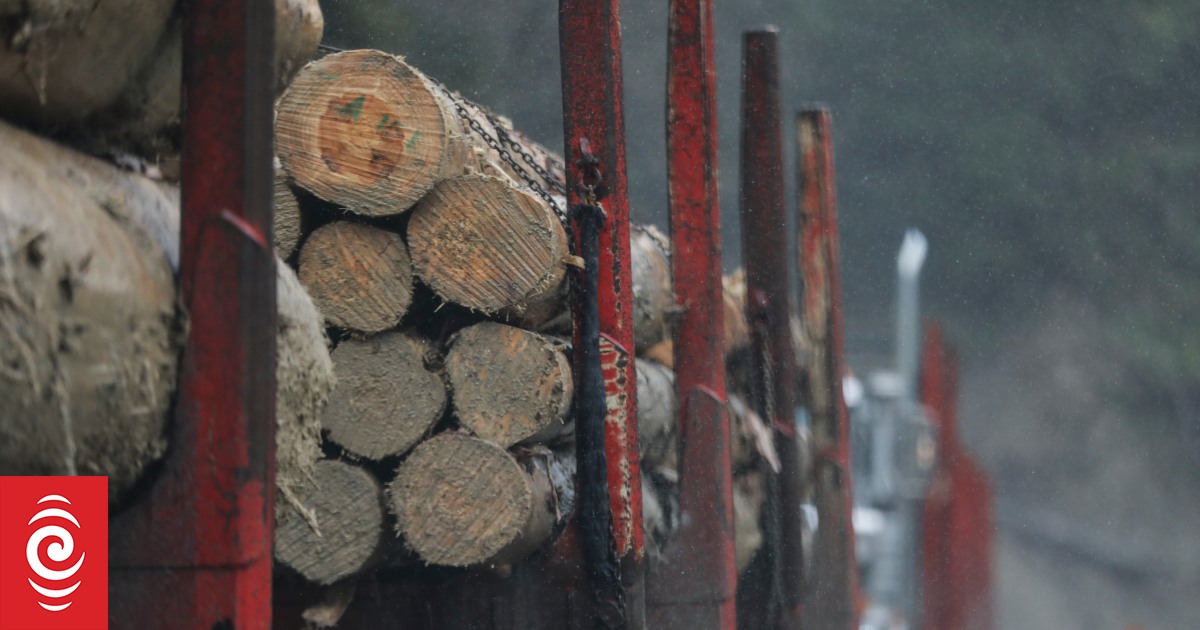 Chain of responsibility laws not protecting truck drivers | RNZ