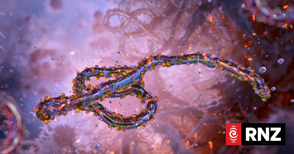 Explainer: What we know about the latest Ebola outbreak | RNZ News