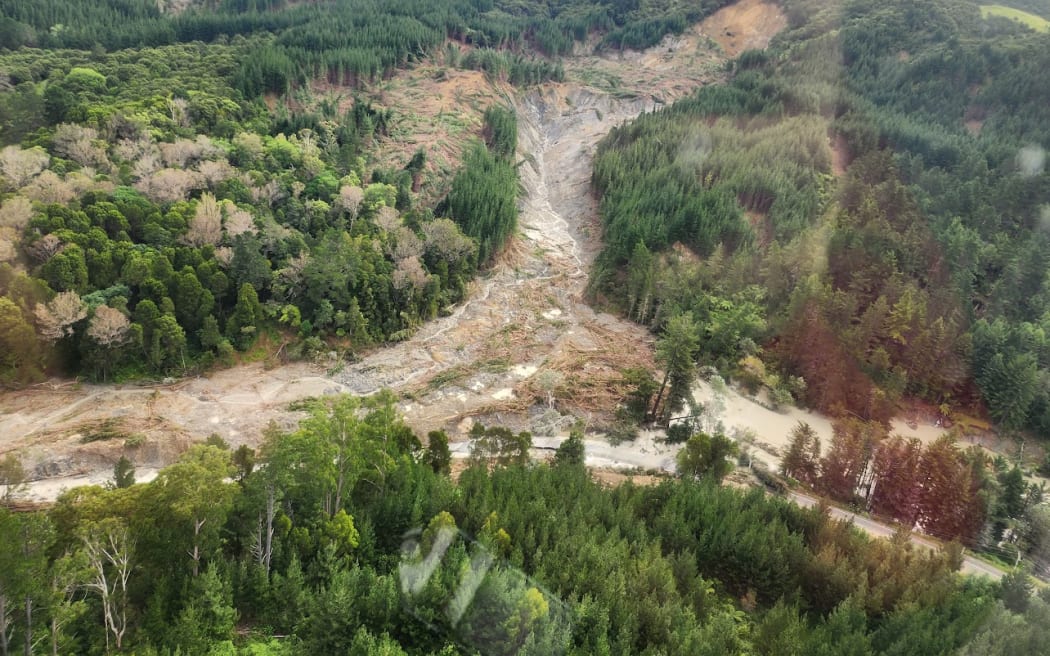 A gully of pine forestry near Gisborne that slipped in Cyclone Gabrielle