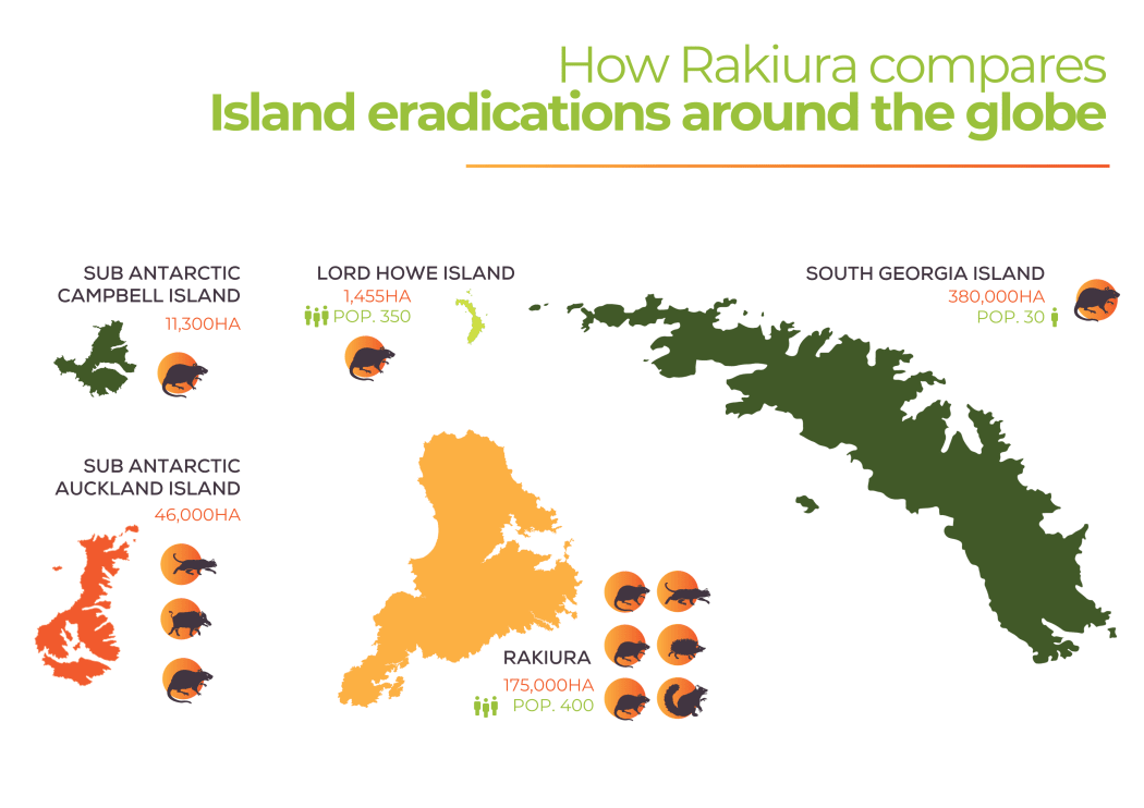 Predator Free Rakiura/Supplied. Caption: A graphic shows target species at other islands around the world. Rats have been eradicated from South Georgia Island, Lord Howe Island, and Campbell Island.
