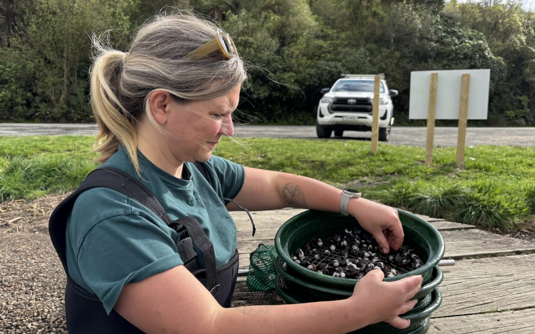 A upper body shot of Michele standing next to the small wooden jetty at Bob's Landing. She is holding a set of green sieves and is picking out gravel from amongst the many gold clam in the top sieve. She is wearing a green t-shirt with navy waders, her blond hair is in a pony and she has sunglasses on the top of her head tucked in her hair. She is looking at the sieve that is resting on the jetty, rather than the camera.