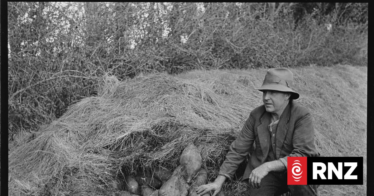 Country Life: The farm photographer who captured a changing New Zealand