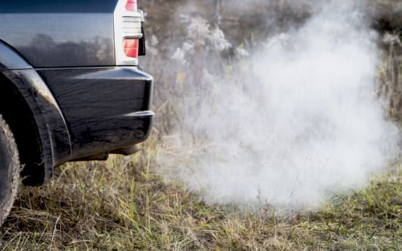 The back of the black car with the emission of smoke from the exhaust pipe on the background of nature. The concept of environmental pollution by vehicles.
