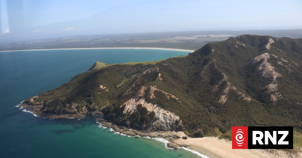 Iwi say mussel spat venture could reduce reliance on wind