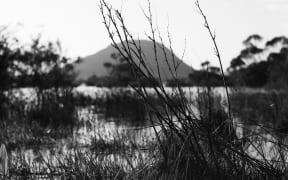 Image from wet_land - Lisa Clunie and Thorsten Hoppe