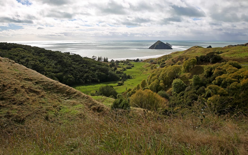 Anaura Bay today