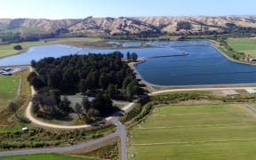 Masterton District Council's Homebush wastewater treatment ponds.