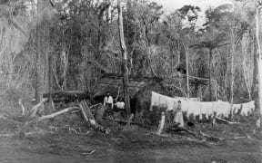 Soldier's hut alongside Great South Road (undated). Temple photograph.