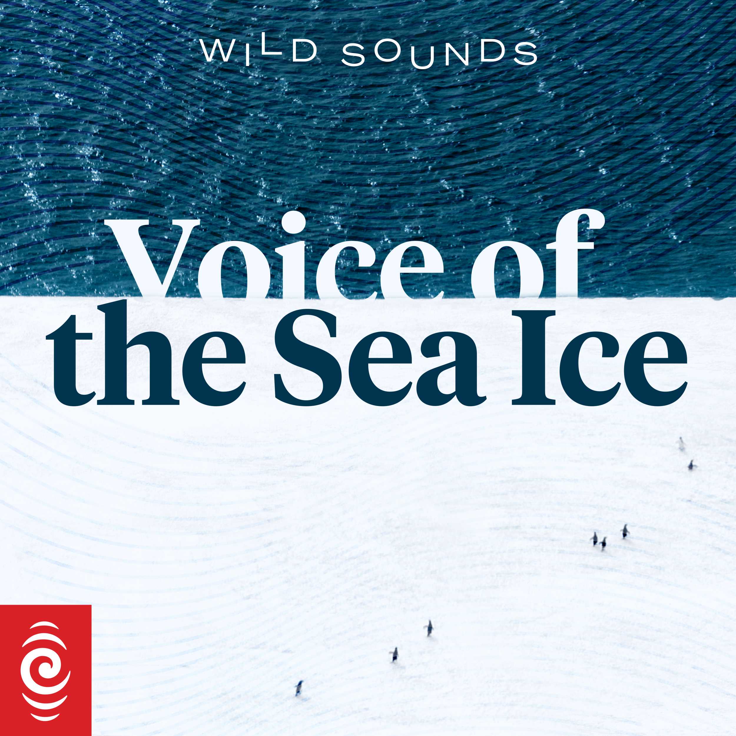 Wild Sounds: Voice of the Sea Ice