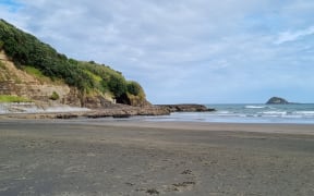 Muriwai Beach.