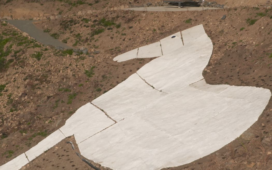 Waimate's iconic white horse on the hill has received an upgrade worth half-million dollars.