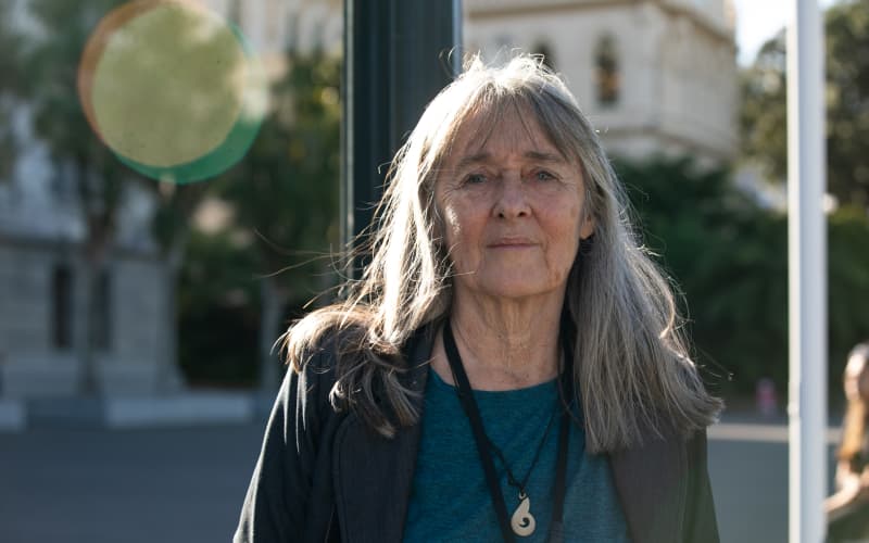 Catherine Delahunty at Parliament, 5 April 2023.