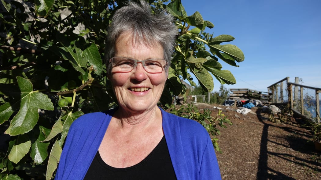 Project Lyttelton's Margaret Jeffries