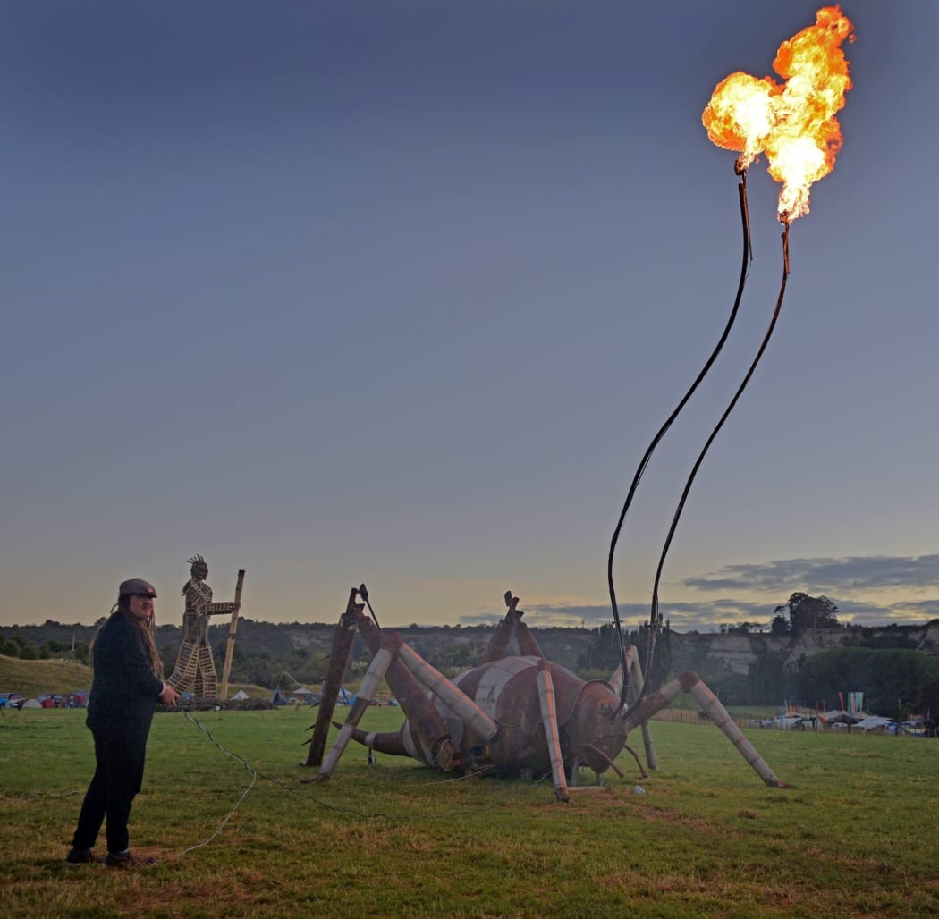 Giant Weta at Kiwiburn 2017